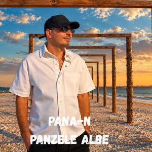 Pana-n panzele albe by Valentin Tulica