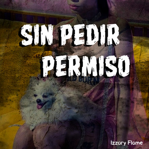 Sin Pedir Permiso by Izzary Flame