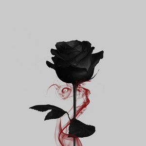 Роза ветров by V1NDETTA