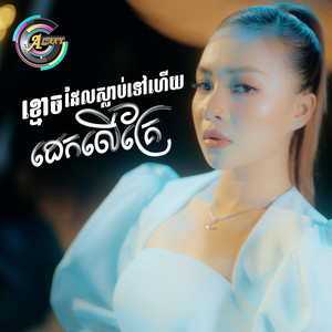 តន់ ចន្ទសីម៉ា - ខ្មោចដែលស្លាប់ទៅហើយដេកលើគ្រែ