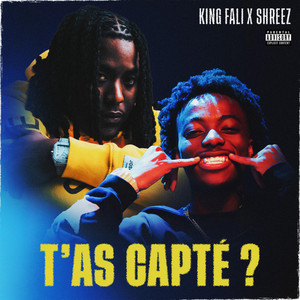 T'as Capté ? (feat. Shreez) album cover