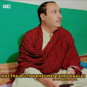 Liaqat Abid Kharani - Naazetha