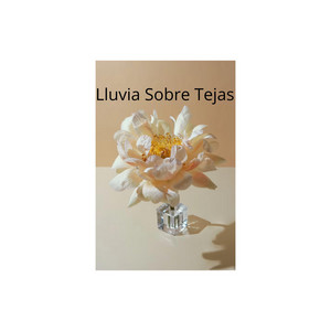 lluvia sobre tejas by Rose of melody
