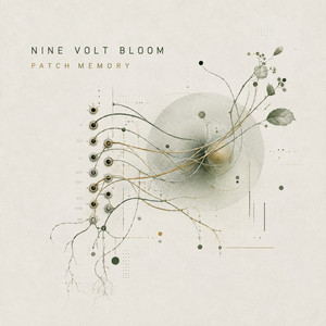 First Patch by Nine Volt Bloom