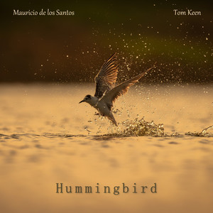 Hummingbird by Tom Keen, Mauricio de los Santos