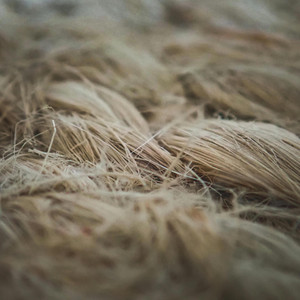 Every Fibre by Beneath The Madness