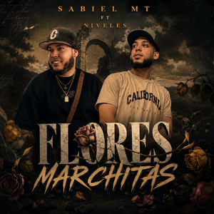 FLORES MARCHITAS by Sabiel MT, NIVELES