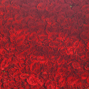 Hiko - Big Girls Don't Cry (Sped Up) - You Can Hold My Hand If You Want To, Cause I Want to Hold Yours Too