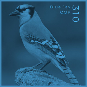 Portada de Blue Jay