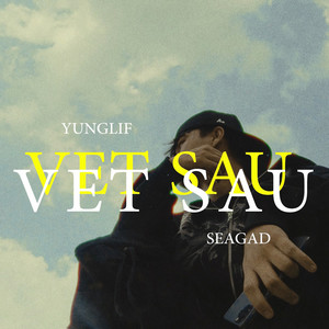 Vệt Sâu by YungLif, SEAGAD