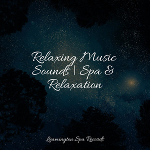 Relaxing Music Sounds | Spa & Relaxation album