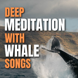 Deep Meditation with Whale Songs album