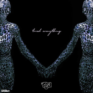 Tried Everything by Dj Tofu