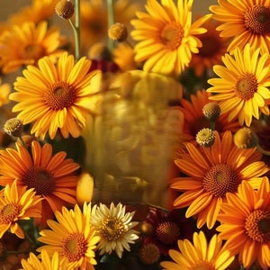 Flowers by Mirelle Calme