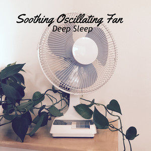 Soothing Oscillating Fan