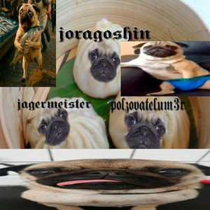 polzovatelum3r, joragoshin & Jägermeister - #PUGSWITHDRUGS