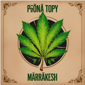 Marrakesh :: płoną topy