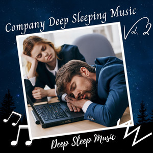 Deep Sleep Music: Company Deep Sleeping Music Vol. 2 album