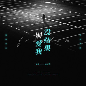 别爱我没结果 (DJ沈念版伴奏)