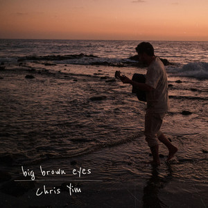 Big Brown Eyes by Chris Yim
