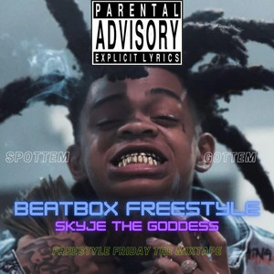 Portada de Beatbox Freestyle