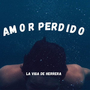 AMOR PERDIDO by VIGÁ