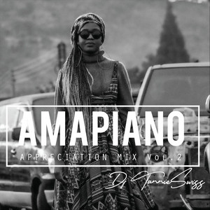 Amapiano Appreciation Mix, Vol. 2