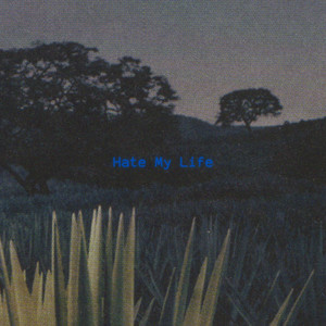 Hate My Life by SkA
