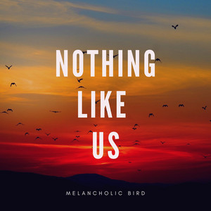 Nothing Like Us