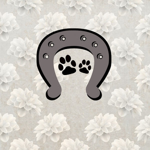 Sommarkatten - Jag är katt, häst, hund