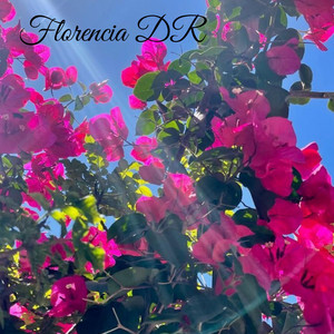 No la pierdas de vista by Florencia DR