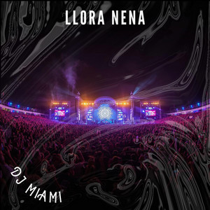 Llora Nena by DJ MIAMI