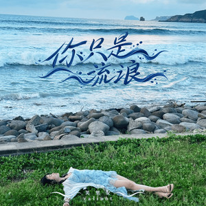 你只是流浪 by 芙里安Valiant Pan