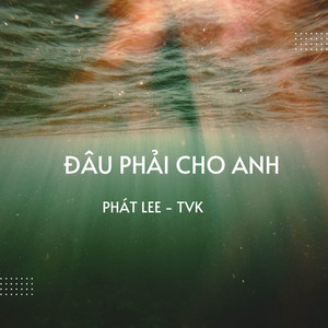 Phát Lee - Đâu Phải Cho Anh (Lofi)