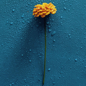 Raindrop Interlude by Tell The Sky, Oscar Collin