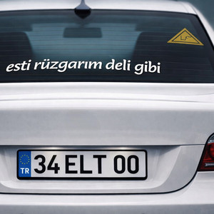 esti rüzgarım deli gibi