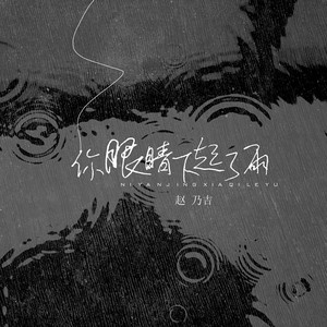 你眼睛下起了雨 by 赵乃吉