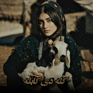 Nawa Star - Kala De Kabula_مست سندره