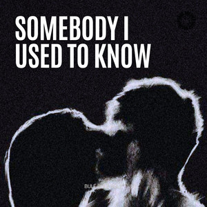Somebody that i used to know - House