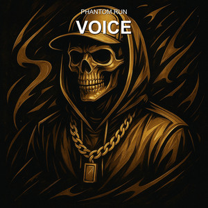 Voice by Phantom Run