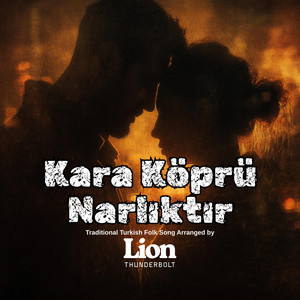Kara Köprü Narlıktır