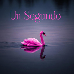 Un Segundo by Cronic US