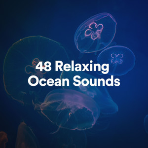 48 Relaxing Ocean Sounds album