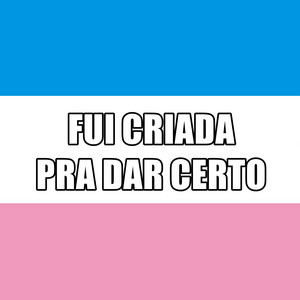 Mc Bocão - Fui Criada pra Dar Certo