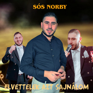 Sós Norby - Elvettelek azt sajnálom