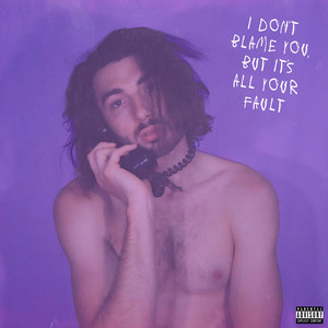 I Don't Blame You, But It's All Your Fault cover