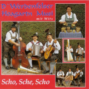D'Werdenfelser Hoagartn Musi