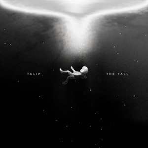 The Fall by Tulip