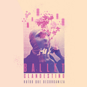 Deserto by Ballet Clandestino