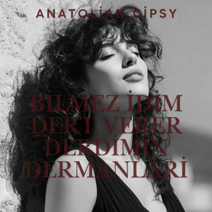 Bilmez İdim Dert Verer Derdimin Dermanlari by Anatolian Gipsy